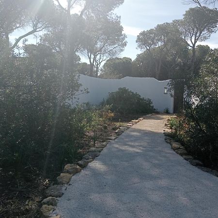 Casa Palmito 2 Villa Chiclana de la Frontera Eksteriør billede