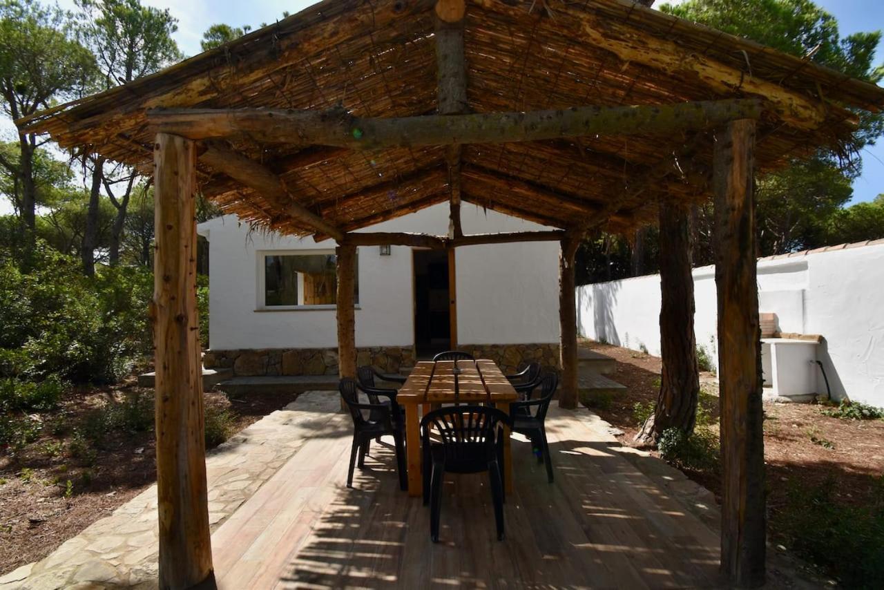 Casa Palmito 2 Villa Chiclana de la Frontera Eksteriør billede